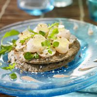 Carpaccio de Topinambour aux St Jacques, crème de noisette et blinis Carpaccio de Topinambour aux St Jacques, crème de noisette et blinis