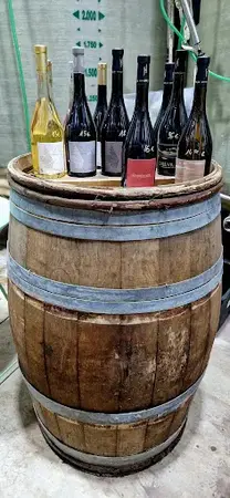 Domaine Ampelhus