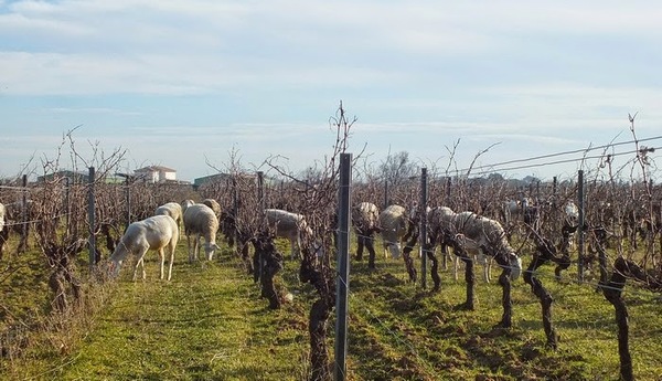 Enclos de la Croix